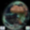 Day/Night Cloud Microphysics RGB