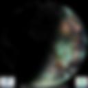 Day/Night Cloud Microphysics RGB