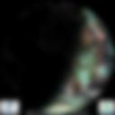 Day/Night Cloud Microphysics RGB