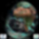 Day/Night Cloud Microphysics RGB