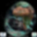 Day/Night Cloud Microphysics RGB