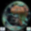 Day/Night Cloud Microphysics RGB