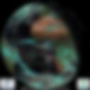 Day/Night Cloud Microphysics RGB