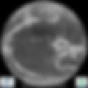 Infrared 10.8 µm Satellite Image