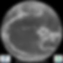 Infrared 10.8 µm Satellite Image
