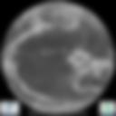 Infrared 10.8 µm Satellite Image