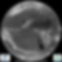 Infrared 10.8 µm Satellite Image