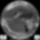 Infrared 10.8 µm Satellite Image