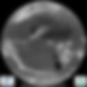 Infrared 10.8 µm Satellite Image