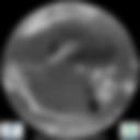 Infrared 10.8 µm Satellite Image