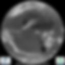 Infrared 10.8 µm Satellite Image