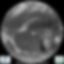 Infrared 10.8 µm Satellite Image