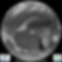 Infrared 10.8 µm Satellite Image