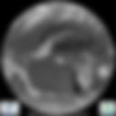 Infrared 10.8 µm Satellite Image