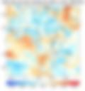 Observed NCEP