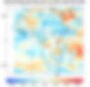 Observed NCEP