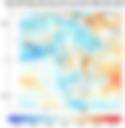 Observed NCEP
