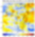 Observed NCEP