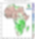Monthly Climate Diagnostic Bulletin — December 2024