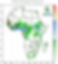 Monthly Climate Diagnostic Bulletin — June 2025