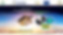 Continental Hazard Outlook PDF