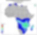 Probability of Exceeding 25 mm — Forecast Day 1