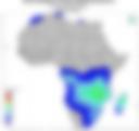 Probability of Exceeding 25 mm — Forecast Day 1