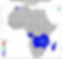 Probability of Exceeding 50 mm — Forecast Day 1