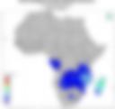 Probability of Exceeding 50 mm — Forecast Day 1