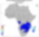 Probability of Exceeding 50 mm — Forecast Day 1