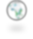 Satellite-based daily rainfall observation